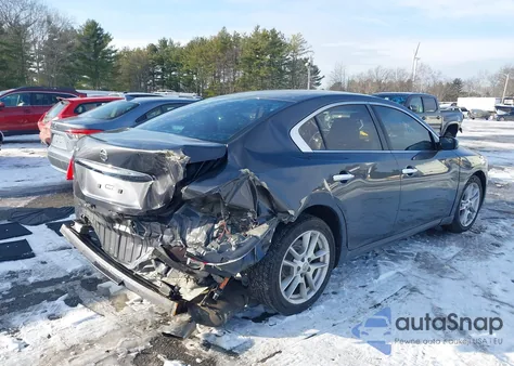 2009 Nissan Maxima 3.5 S z USA, uszkodzony, nr VIN 1N4AA51E59C834162